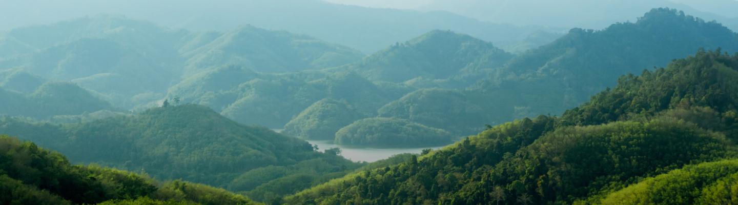 Sustainability Hero Banner Image