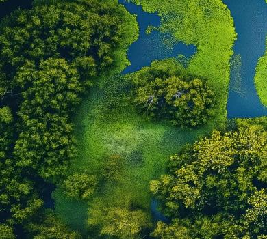 Mission Hero Banner Image