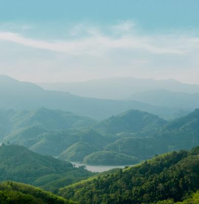 Sustainability Hero Banner Image