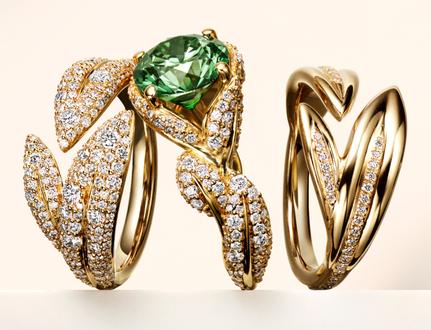 Award-Winning Artistry